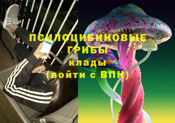 стафф Волосово